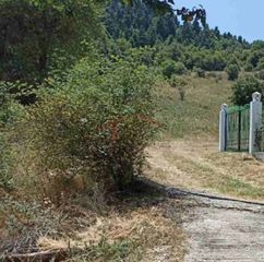 Οικόπεδο 384 τ.μ. για πώληση, Φθιώτιδας, Σπερχειάδα-thumb-2