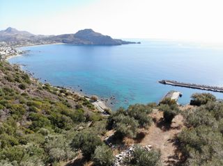 Αγροτεμάχια 4.045 τ.μ. για πώληση