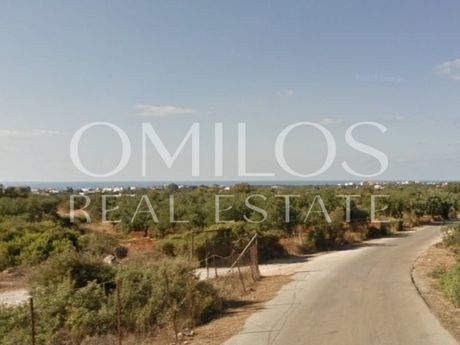 Αγροτεμάχια 4.000 τ.μ. πρός πώληση