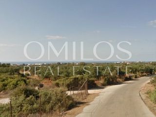 Αγροτεμάχια 4.000 τ.μ. για πώληση