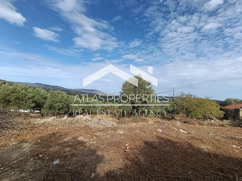Οικόπεδο 477 τ.μ. προς πώληση, Τζιτζιφές