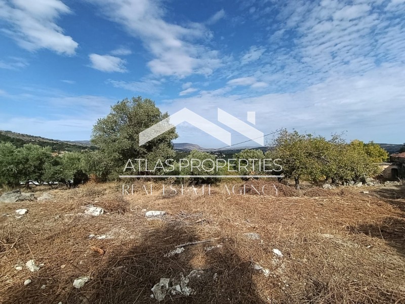 Οικόπεδο 477 τ.μ. προς πώληση, Τζιτζιφές
