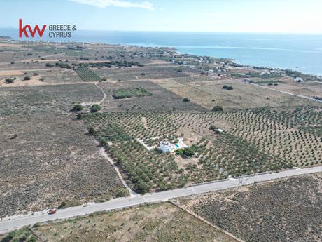 Οικόπεδο 8.211 τ.μ. προς πώληση