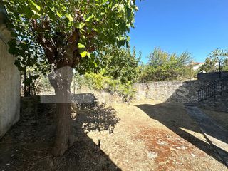 Μονοκατοικία 120 τ.μ. για πώληση, Μεσσηνία, Μελιγαλά-thumb-18