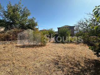 Μονοκατοικία 120 τ.μ. για πώληση, Μεσσηνία, Μελιγαλά-thumb-15
