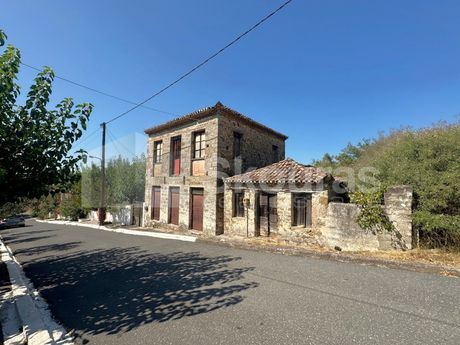 Μονοκατοικία 120τ.μ. για πώληση-Μελιγαλά