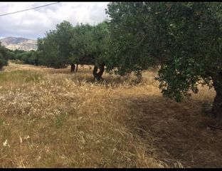 Αγροτεμάχια 1.821 τ.μ. για πώληση