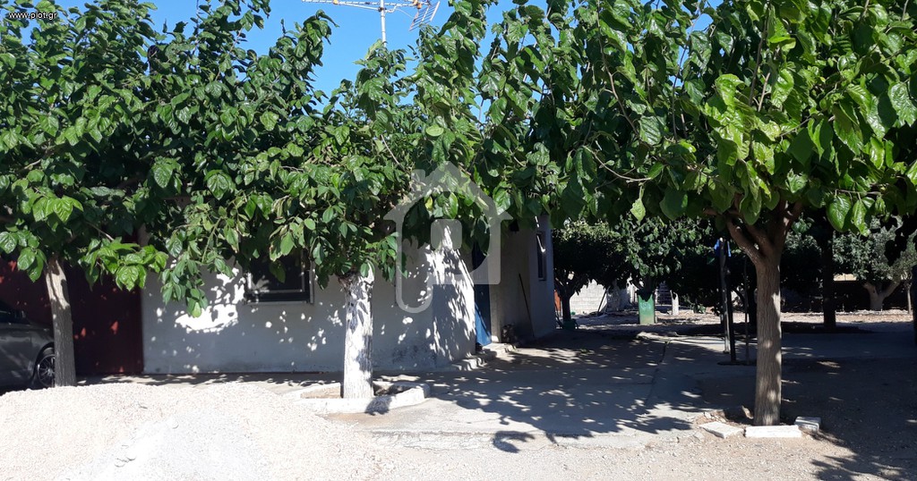 Αγροτεμάχια 4.850 τ.μ. προς πώληση, Πεύκα Κερατέας