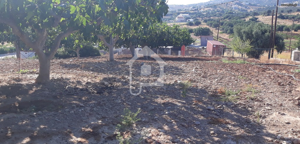 Αγροτεμάχια 4.850 τ.μ. προς πώληση, Πεύκα Κερατέας