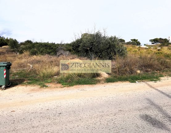 Αγροτεμάχια 9.025 τ.μ. για πώληση, Αττική - Υπόλοιπο, Ραφήνα