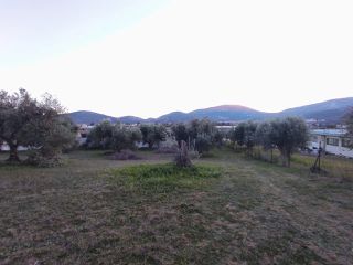 Κατάστημα 300 τ.μ. προς πώληση, Δροσιά Ανθηδώνος-thumb-3