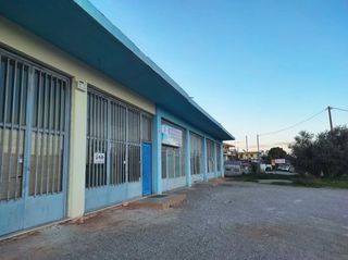 Κατάστημα 300 τ.μ. προς πώληση, Δροσιά Ανθηδώνος-thumb-1