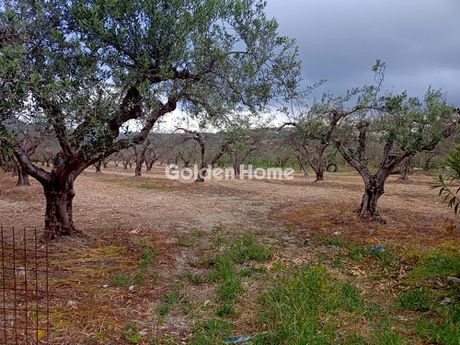Οικόπεδο 900τ.μ. για πώληση-Μοίρες » Κουσές