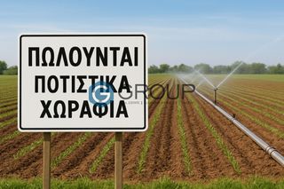 Αγροτεμάχια 47.000 τ.μ. για πώληση