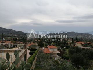 Οικόπεδο 2.900 τ.μ. για πώληση