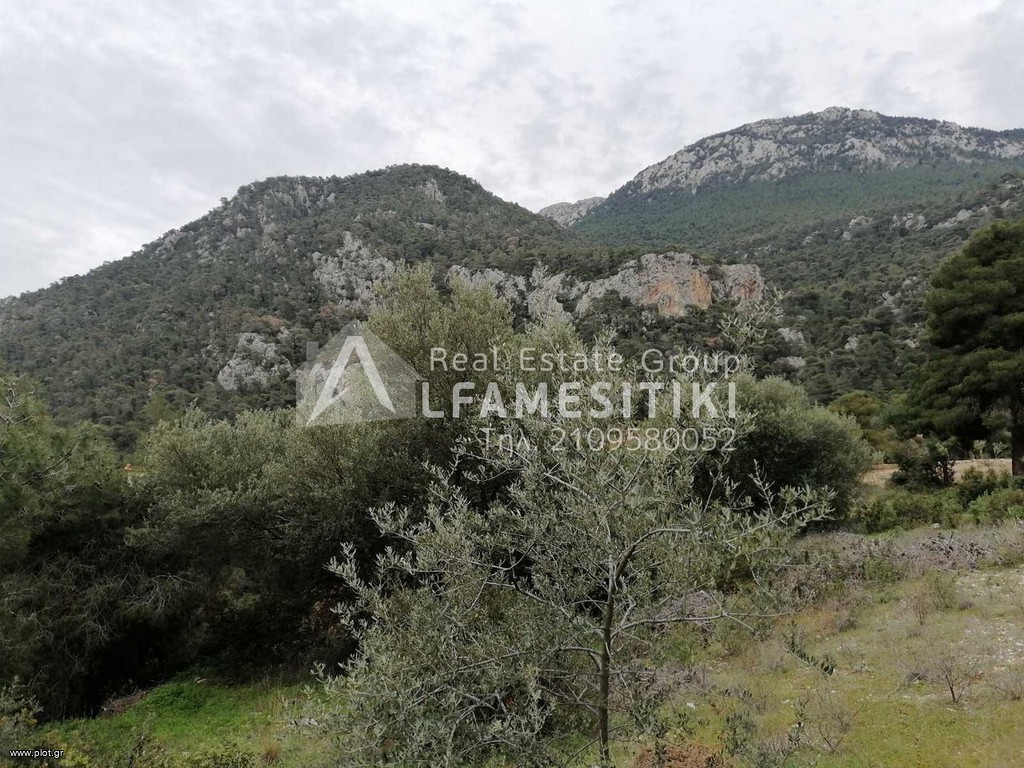 Οικόπεδο 2.900 τ.μ. προς πώληση, Σχίνος Λουτρακίου-Περαχώρας