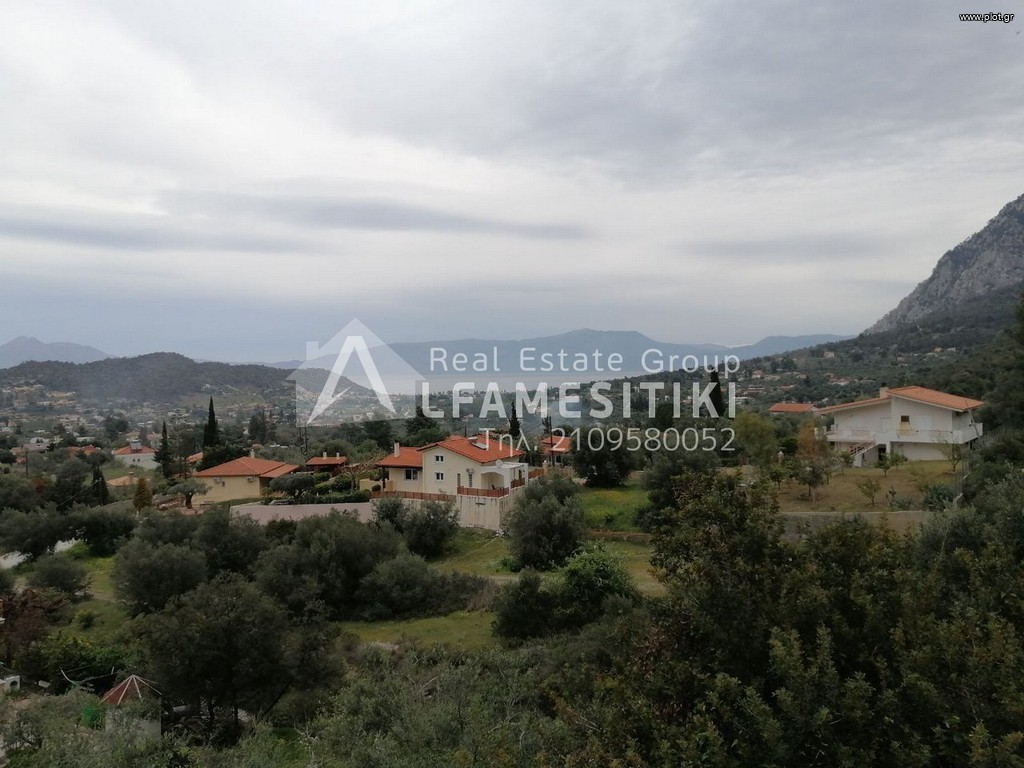 Οικόπεδο 2.900 τ.μ. προς πώληση, Σχίνος Λουτρακίου-Περαχώρας
