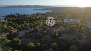 Οικόπεδο 100.000 τ.μ. για πώληση, Αργολίδα, Κρανίδι-thumb-5