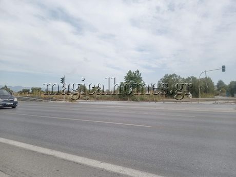 Αγροτεμάχια 2.000 τ.μ. προς ενοικίαση