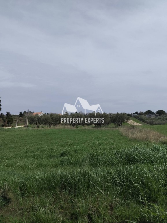 Οικόπεδο 850 τ.μ. πρός πώληση, Εβρος, Αλεξανδρούπολη