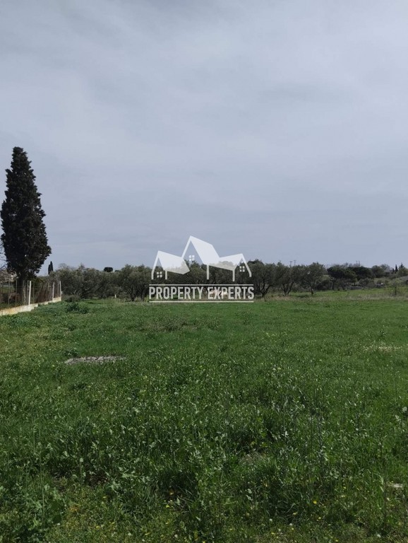 Οικόπεδο 850 τ.μ. πρός πώληση, Εβρος, Αλεξανδρούπολη