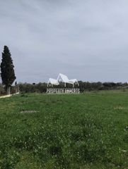 Οικόπεδο 850 τ.μ. για πώληση