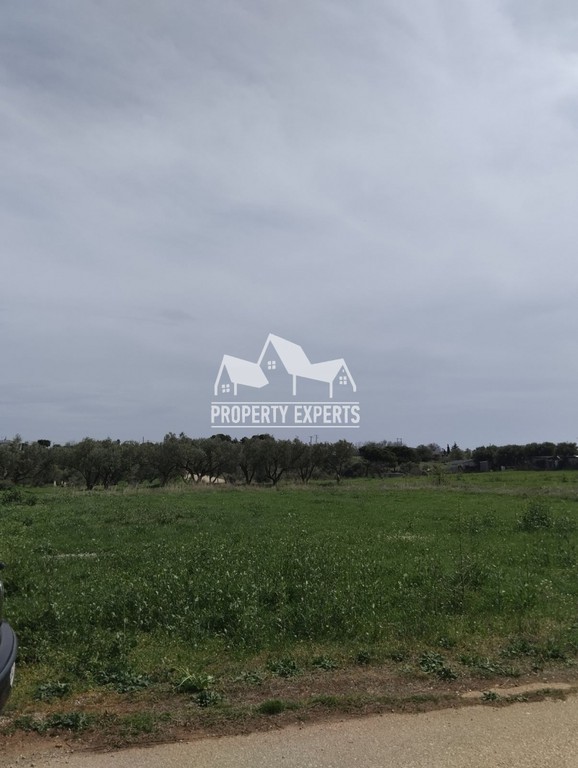 Οικόπεδο 850 τ.μ. πρός πώληση, Εβρος, Αλεξανδρούπολη