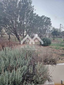 Οικόπεδο 700τ.μ. για πώληση-Πικέρμι » Ντράφι