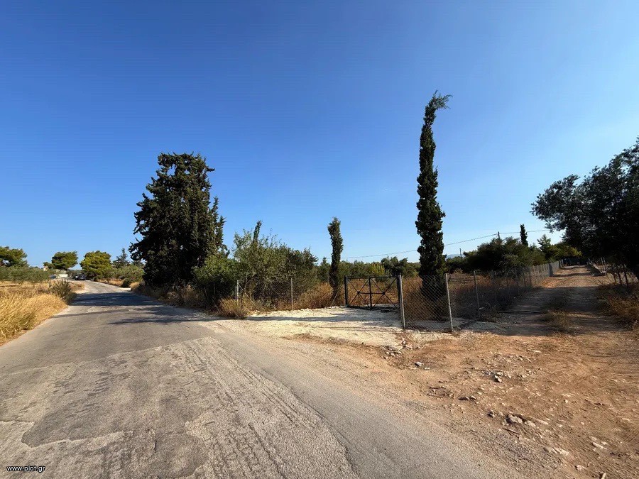Αγροτεμάχια 4.050 τ.μ. για πώληση, Αργολίδα, Κρανίδι