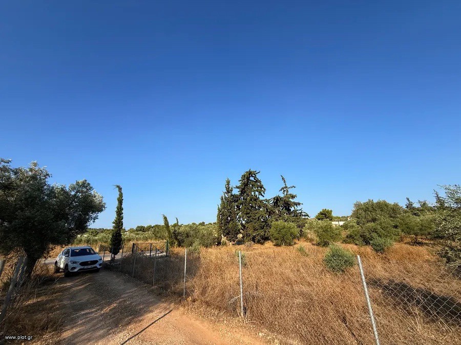 Αγροτεμάχια 4.050 τ.μ. προς πώληση, Αργολίδα, Κρανίδι