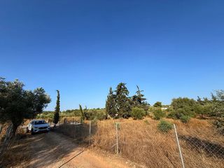 Αγροτεμάχια 4.050 τ.μ. για πώληση, Αργολίδα, Κρανίδι-thumb-1