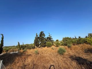 Αγροτεμάχια 4.050 τ.μ. για πώληση, Αργολίδα, Κρανίδι-thumb-4