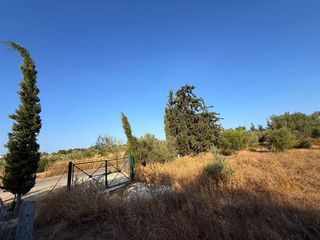 Αγροτεμάχια 4.050 τ.μ. για πώληση, Αργολίδα, Κρανίδι-thumb-6