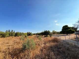Αγροτεμάχια 4.050 τ.μ. για πώληση, Αργολίδα, Κρανίδι-thumb-7
