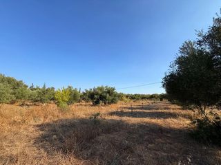 Αγροτεμάχια 4.050 τ.μ. για πώληση, Αργολίδα, Κρανίδι-thumb-11