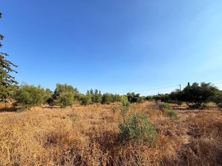 Αγροτεμάχια 4.050 τ.μ. για πώληση, Αργολίδα, Κρανίδι-thumb-12