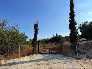 Αγροτεμάχια 4.050 τ.μ. για πώληση, Αργολίδα, Κρανίδι-thumb-13