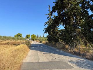 Αγροτεμάχια 4.050 τ.μ. για πώληση, Αργολίδα, Κρανίδι-thumb-14