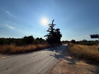 Αγροτεμάχια 4.050 τ.μ. για πώληση, Αργολίδα, Κρανίδι-thumb-15