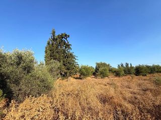 Αγροτεμάχια 4.050 τ.μ. για πώληση, Αργολίδα, Κρανίδι-thumb-19