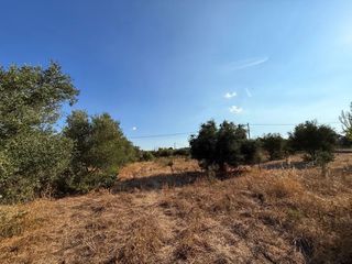 Αγροτεμάχια 4.050 τ.μ. για πώληση, Αργολίδα, Κρανίδι-thumb-20
