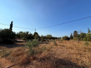 Αγροτεμάχια 4.050 τ.μ. για πώληση, Αργολίδα, Κρανίδι-thumb-22