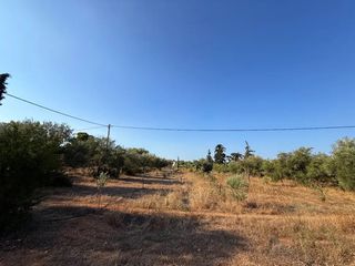 Αγροτεμάχια 4.050 τ.μ. για πώληση, Αργολίδα, Κρανίδι-thumb-23