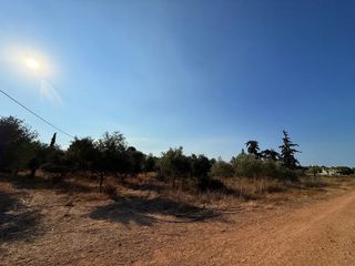 Αγροτεμάχια 4.050 τ.μ. για πώληση, Αργολίδα, Κρανίδι-thumb-24