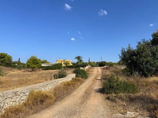 Αγροτεμάχια 35.000 τ.μ. για πώληση