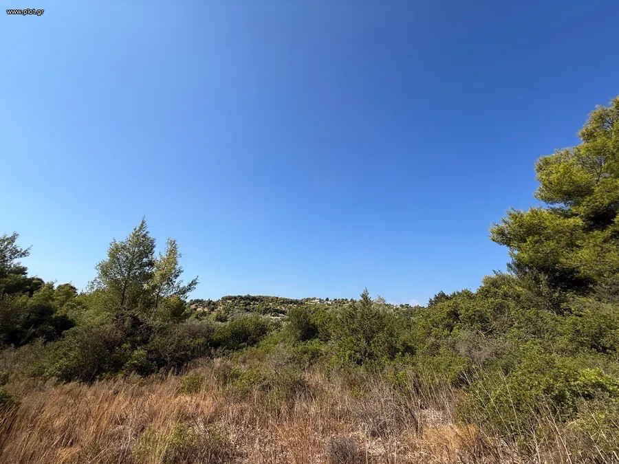 Αγροτεμάχια 35.000 τ.μ. προς πώληση, Βερβερούδα