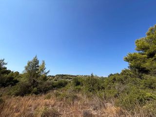 Αγροτεμάχια 35.000 τ.μ. για πώληση, Αργολίδα, Κρανίδι-thumb-3