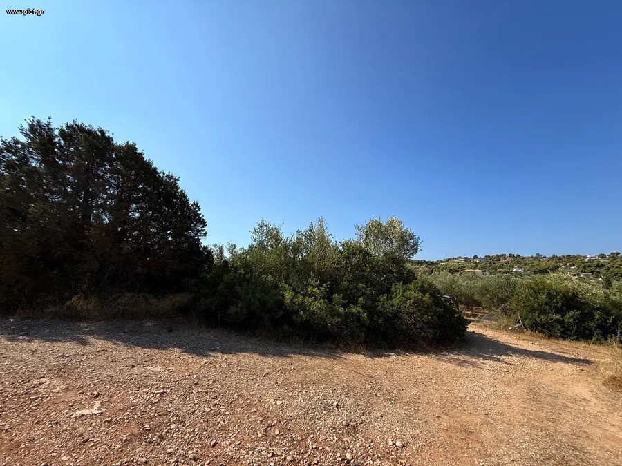 Αγροτεμάχια 35.000 τ.μ. προς πώληση, Βερβερούδα