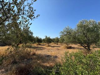 Αγροτεμάχια 35.000 τ.μ. για πώληση, Αργολίδα, Κρανίδι-thumb-6