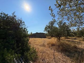 Αγροτεμάχια 35.000 τ.μ. για πώληση, Αργολίδα, Κρανίδι-thumb-7